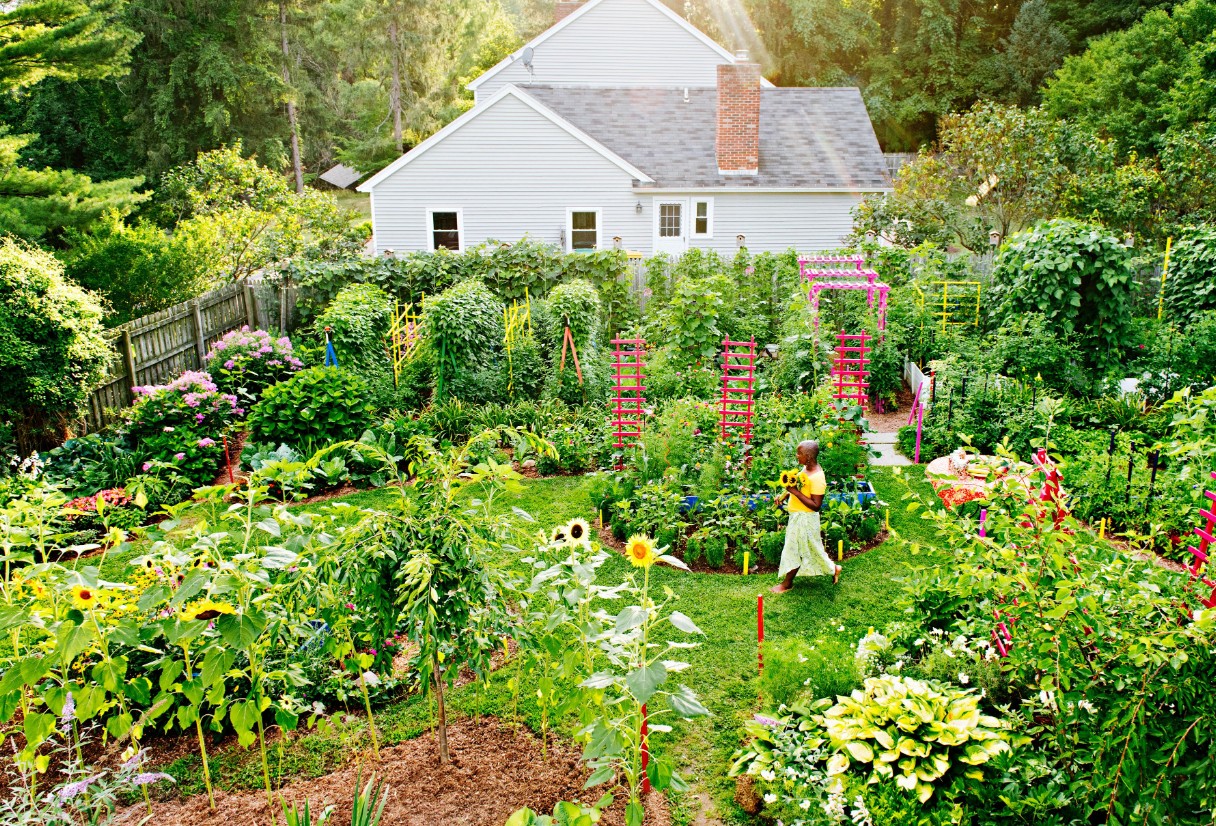 Cultivating a Sustainable Garden for Your Home